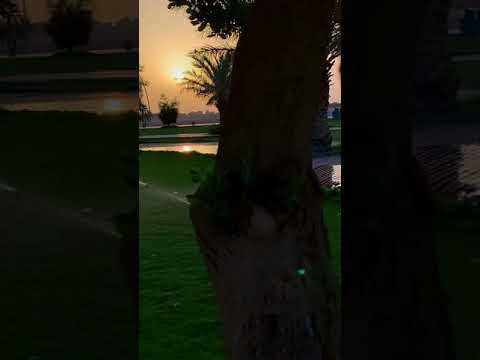 صباح الخير شروق الشمس