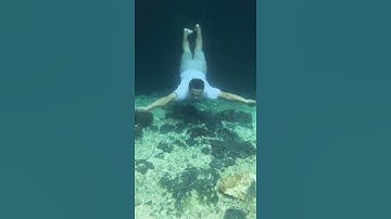 Menyelami dasar bawah air kontamale | Goa Air Kontamale | Wanci Wakatobi