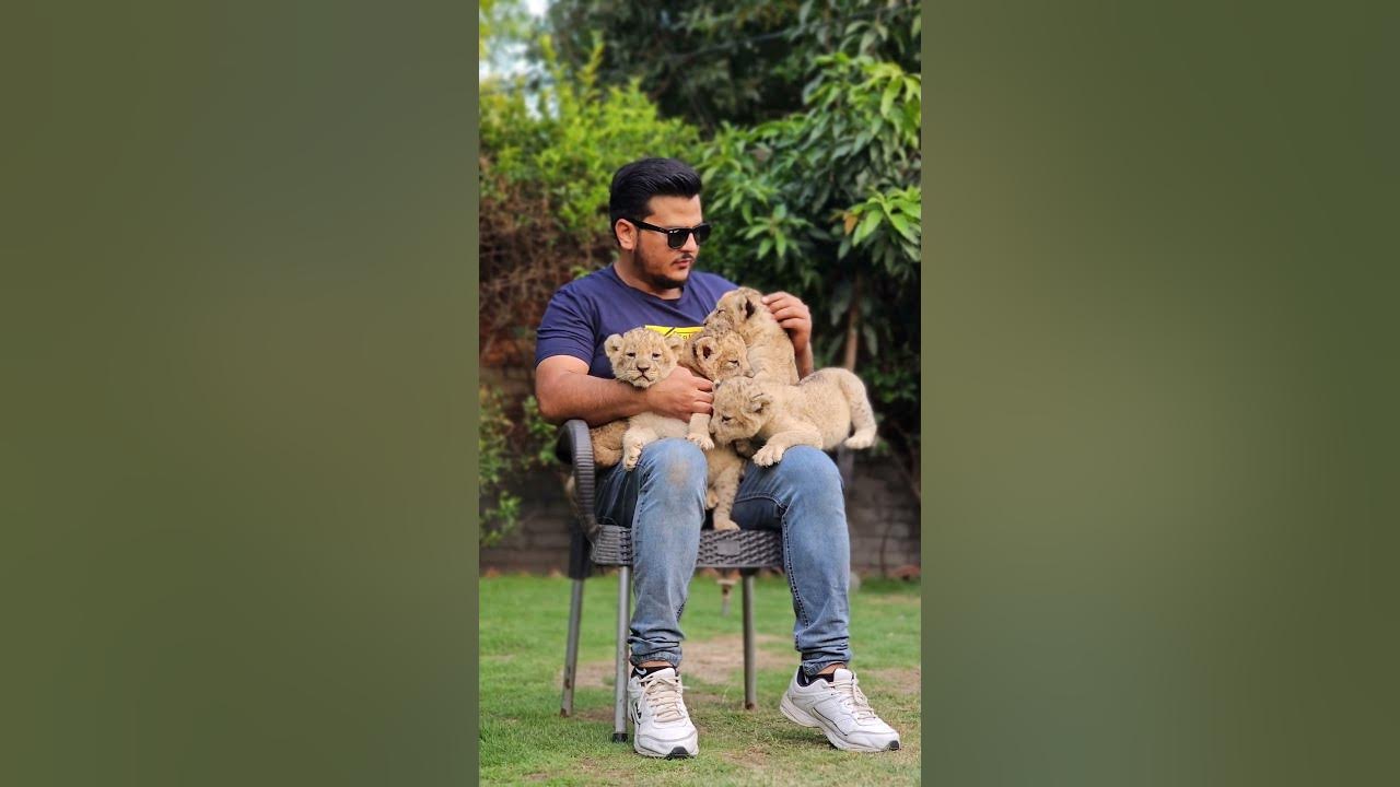 1 month Old Beautiful Lion Cubs | Nouman Hassan | - YouTube