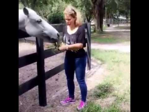 حصان كاد أن يأكل يد سوزان نجم الدين