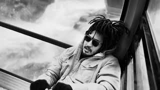 Famous directionless official video  Net Worth