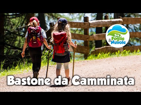 Video: Come si usa il bastone da passeggio?