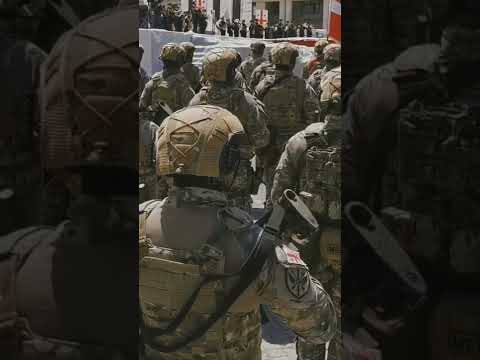 Video: Gürcüstan Silahlı Qüvvələri: potensial, saylar, hərbi texnika, fotoşəkillər