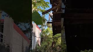 Careful, Muning, You Climbed Too High.