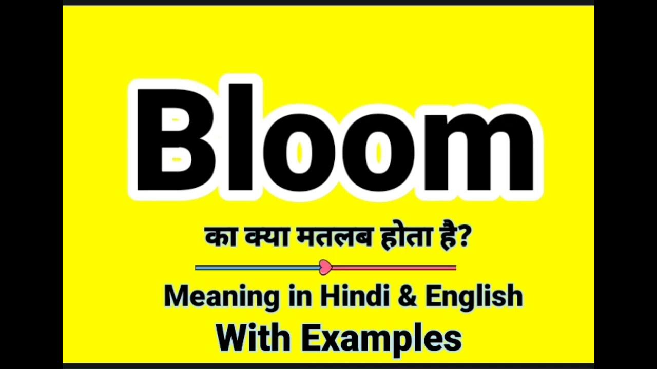 bloom-meaning-in-hindi-bloom-ka-kya-matlab-hota-hai-daily-use