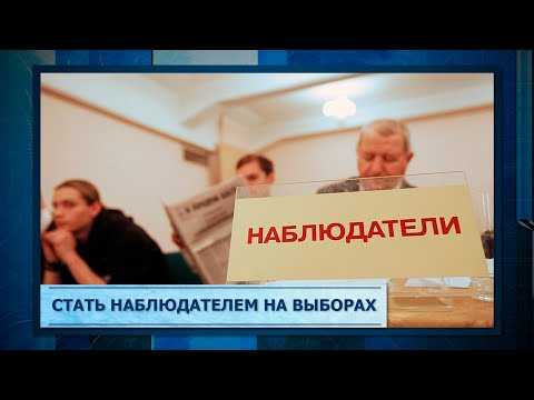 Стать наблюдателем на выборах