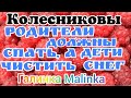 Колесниковы /Обзор Влогов /Родители будут Спать, а Дети Чистить Снег //