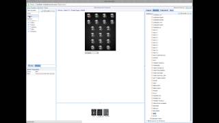 Celebrity iRule Quick-Start Guide Profile