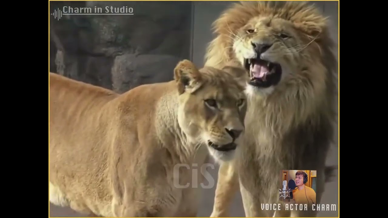 ၂၀၂၆၊ ဖေဖော်ဝါရီ ၂၇