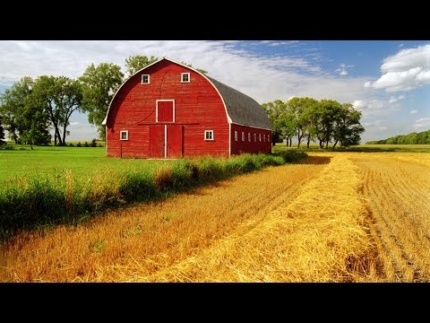 ფერმა - Minecraft #8 (ქართულად)