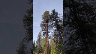 Celebrity Rigging wrench used for climber control of spar. Net Worth