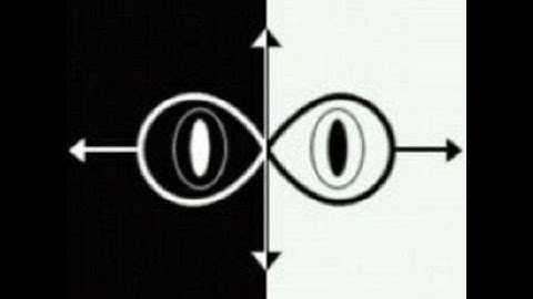 For Andrew Yeung: A Visual Demo of the Goldbach Topographical Calculator + ERF