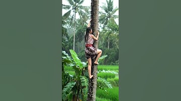 Unique way to climb a coconut tree #shorts #facts