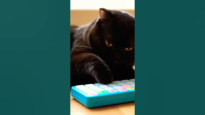 Watch the video about #musica #cute #baby #cat #kucinglucubandung #funny #imut #tiktok #ai #animals #anak #funnycats