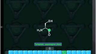MMDS: Oligopeptide Drawing (iPad)