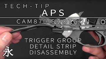 Tech-tip: APS CAM870 trigger group detail strip/disassembly