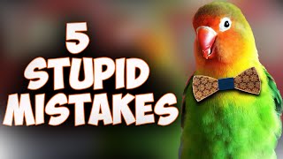 5 Mistakes in Training a LoveBird ! (Don't Repeat)