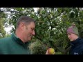 Abbi goes SCRUMPING and Bramble leaves the farm  17 10 20