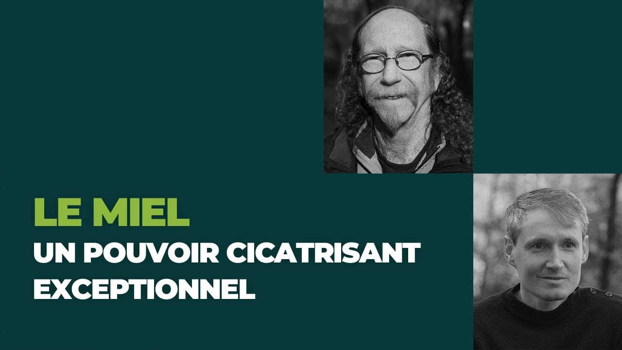 [Apithérapie] Le miel et la cicatrisation - avec le Dr Lilian Ceballos