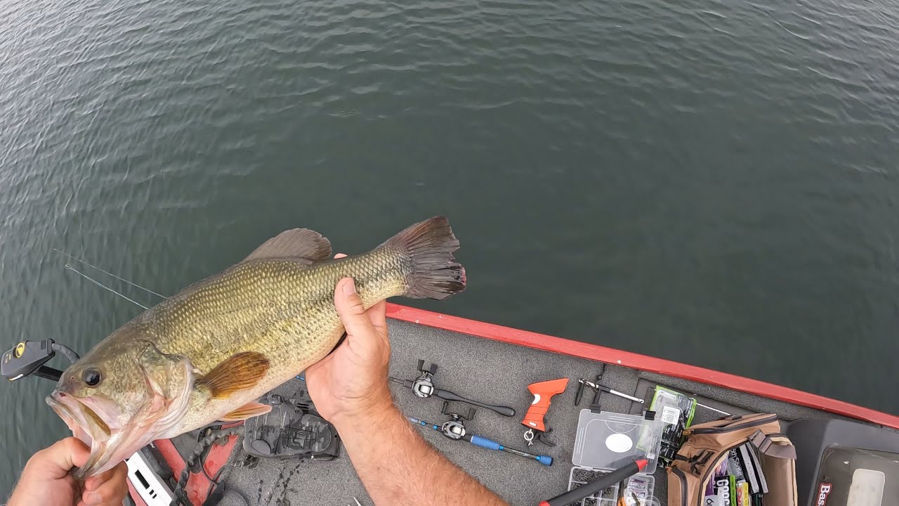 Summer Grind Evening Bass Fishing #smallmouthbassfishing #largemouthbass #bassfishing