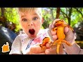 Oliver Finds His First Toxic Newt!