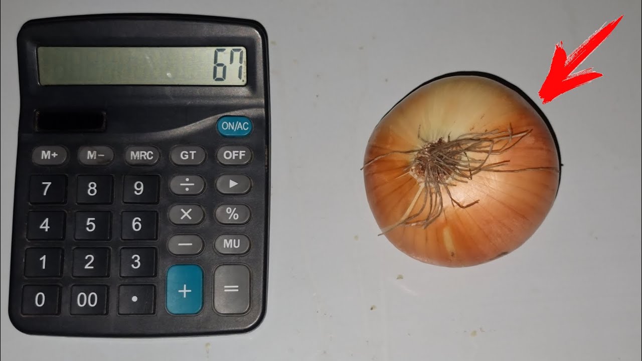 How to Properly Remove Onions from a Calculator. 100% Working Guide