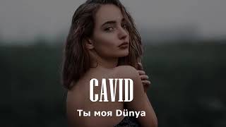 CAVID TI MOYA DUNYA Resimi