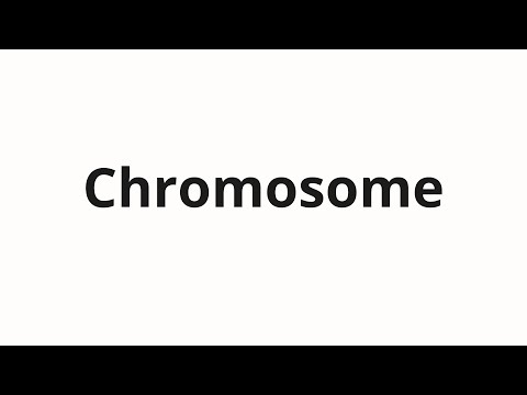 How to pronounce Chromosome