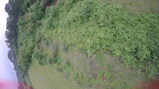 Testing FalcoX Blackbird Rates on Remix V2