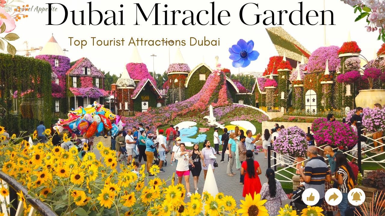 MIRACLE GARDEN DUBAI | Dubai Tourist Attractions | Mesmerizing Flower Garden 