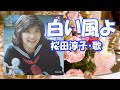 桜田淳子 / 白い風よ