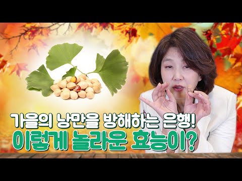 가을에 은행 꼭 먹어야 하는 이유! 영양뱅크 은행의 놀라운 이점 5가지!