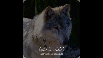 حالات واتساب قرآن//سورة يوسف// اسلام صبحي