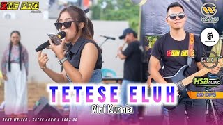 TETESE ELUH - DINI KURNIA - ONE PRO LIVE PEMUDA SUMBERMULYO BERSATU | Hsb Audio