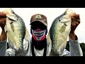 FALL CRAPPIE FISHING (2020) How to locate and catch fall crappie