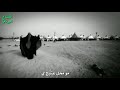مو محل عتبج يزينب استوري جديد سيد فاقد الموسوي مو محل عتبج يزينب استوري جديد سيد فاقد الموسوي