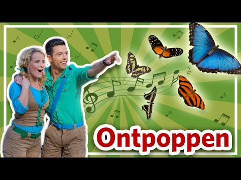 Video: Vlinders Mogen Vliegen