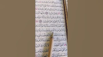 اكتب شئ تؤجر عليه ❤😴 #quran #قرآن #تلاوة_خاشعة #القرآن #قران_كريم #subscribe