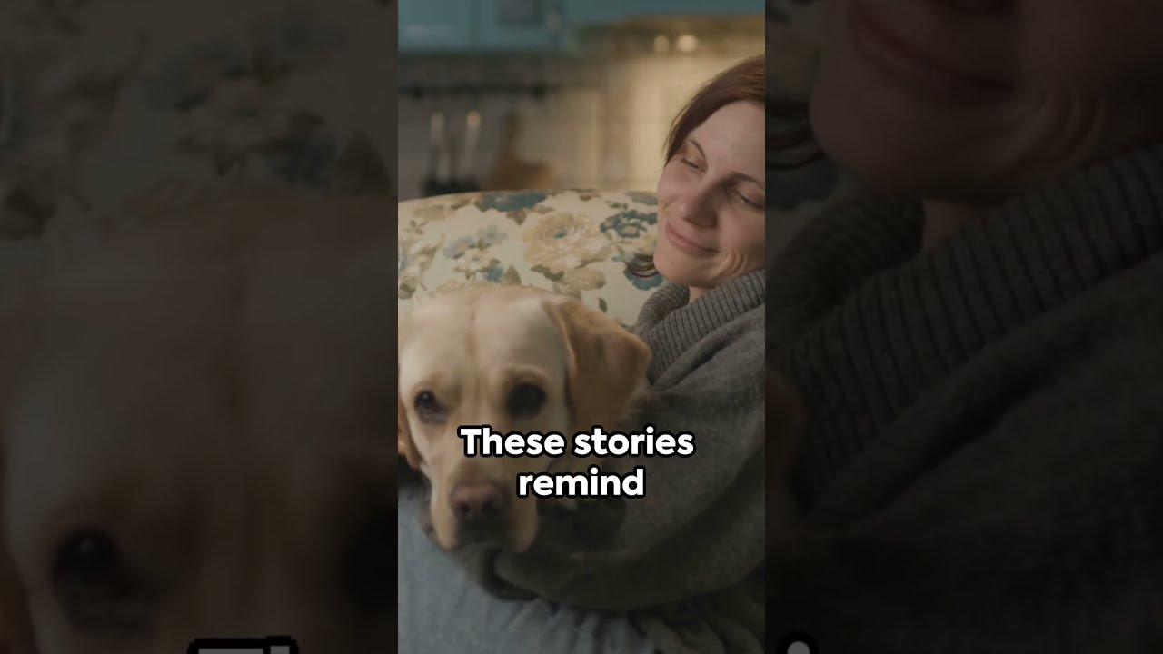  He Wasn T Just A Pet You Ll Understand Why Motivation Petloss Shorts