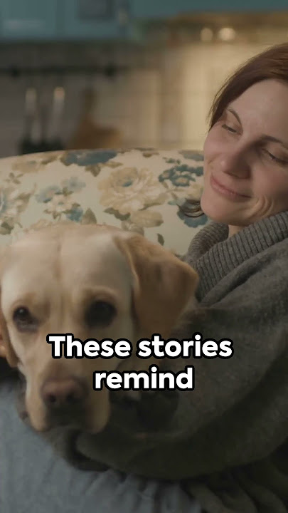 'He Wasn’t Just a Pet… You’ll Understand Why 💔🐾' #motivation #petloss #shorts