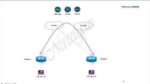 IPv6 over Cisco SDWAN