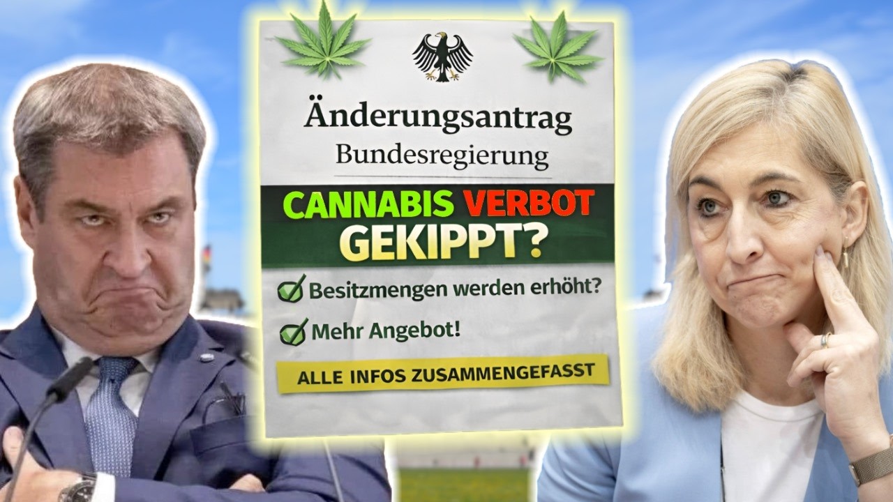 Bald mehr Cannabis erlaubt ?  CDU will Verbot Gesetz ändern !