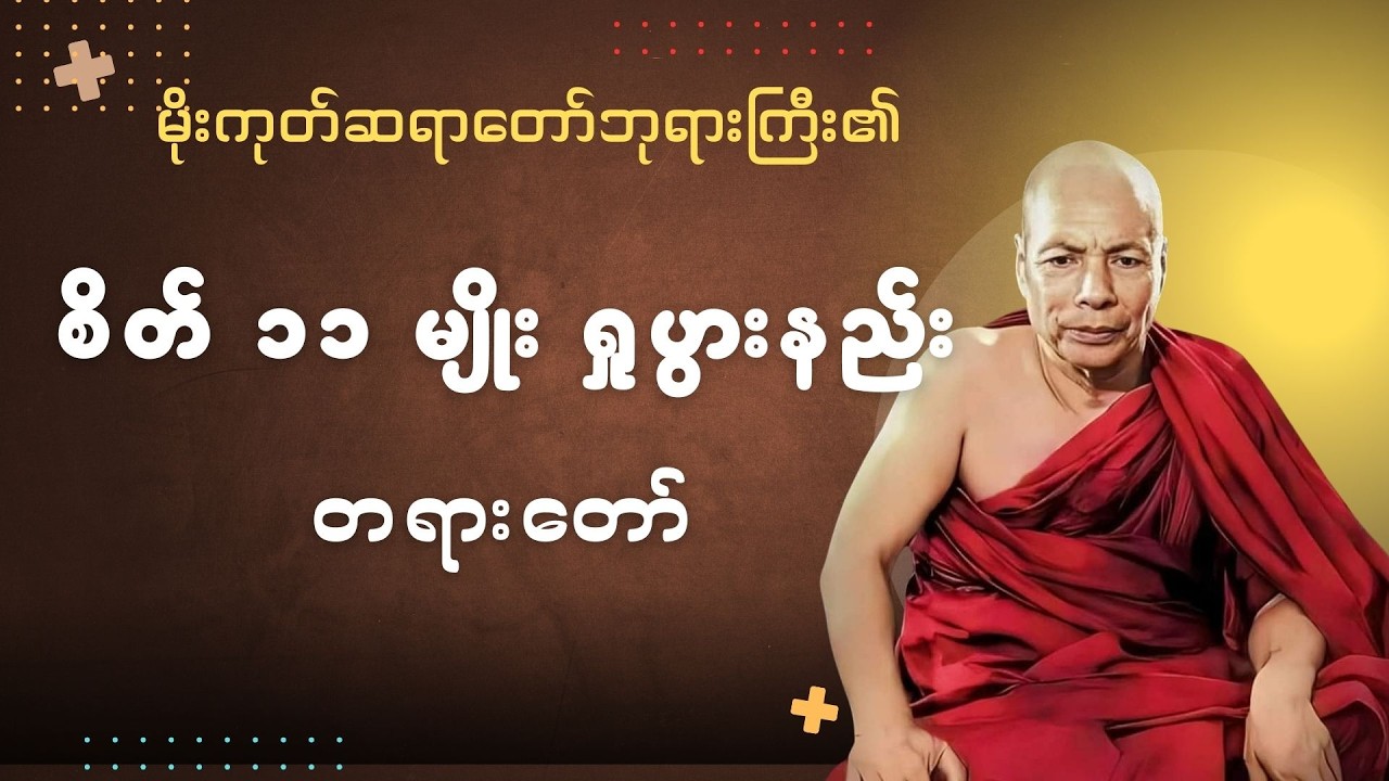 စိတ် (၁၁) မျိုးရှုပွားနည်း #မိုးကုတ်ဆရာတော်ဘုရားကြီး