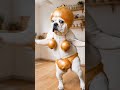 玉ねぎブルドッグ #ブルドッグ #玉ねぎ #犬ダンス #onion #bulldog
