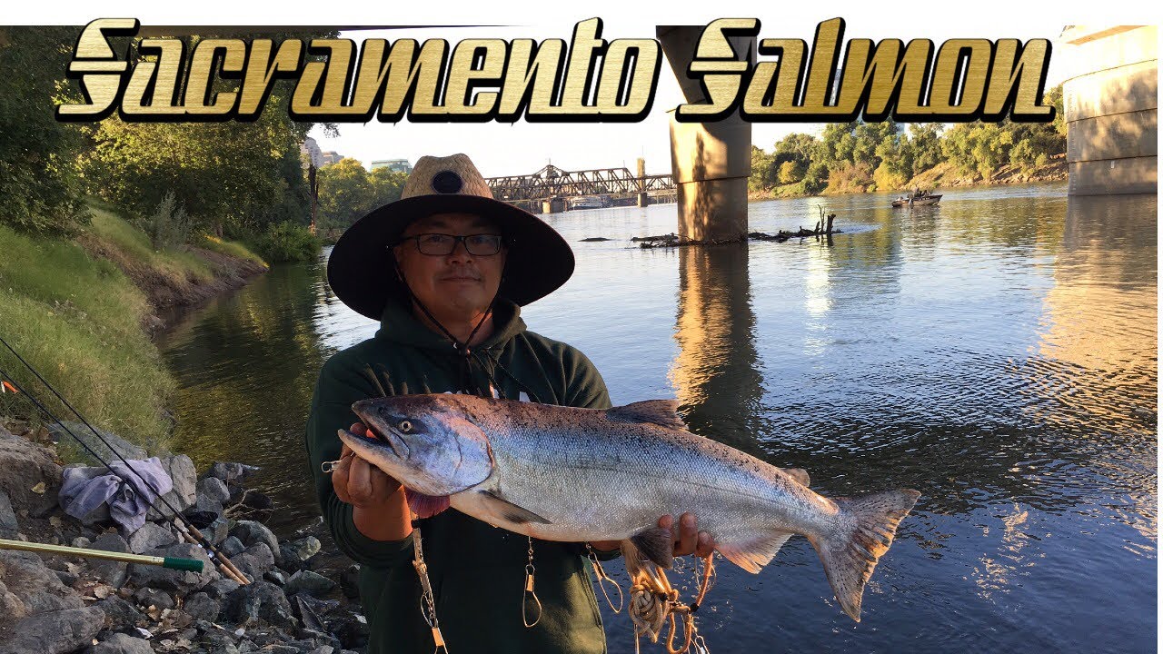Episode 18: Sacramento River Salmon Fishing - YouTube
