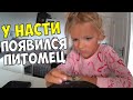 У НАСТИ В ИСПАНИИ ПОЯВИЛСЯ ПИТОМЕЦ!