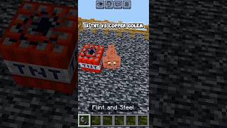 Minecraft - 1X TNT VS COPPER GOLEM #minecraft #minecraftgameplay #minecraftpe #minecraftshorts