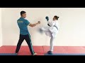 Karate wkf training, technique,Junior 16-17 Kazakhstan, Nur-Sultan.  Техника каратэ до WKF.