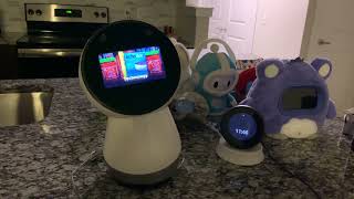 Jibo Flashback - Full Of Surprises!