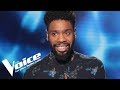 Christophe v. Christine & The Queens - Paradis Perdu | Hobbs | The Voice France 2018 |
